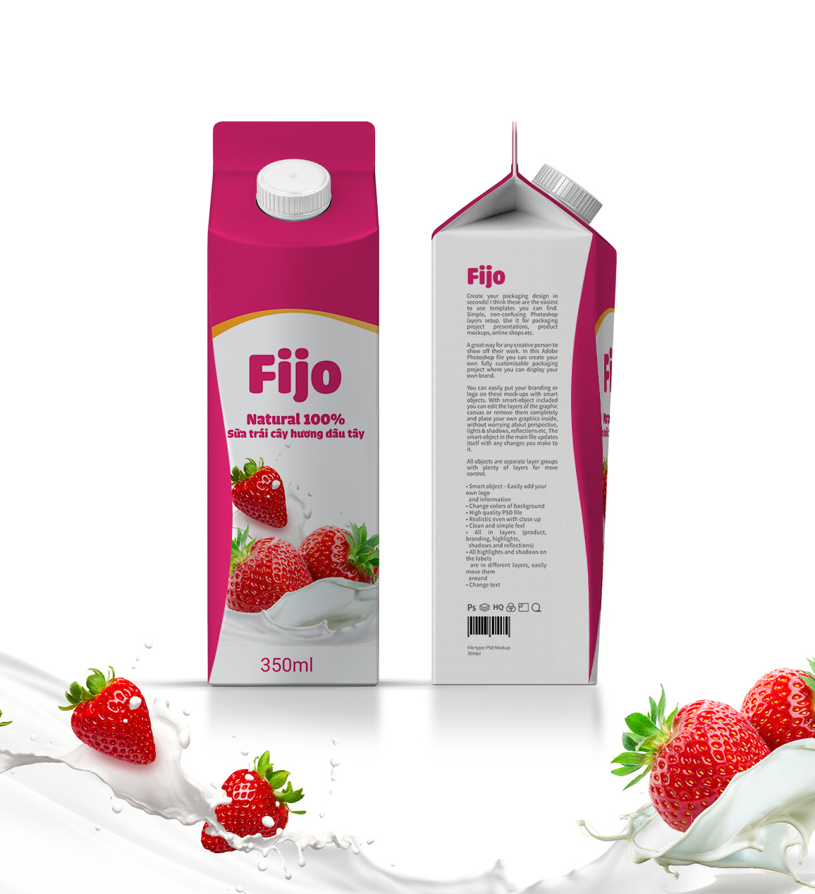 Fijo2