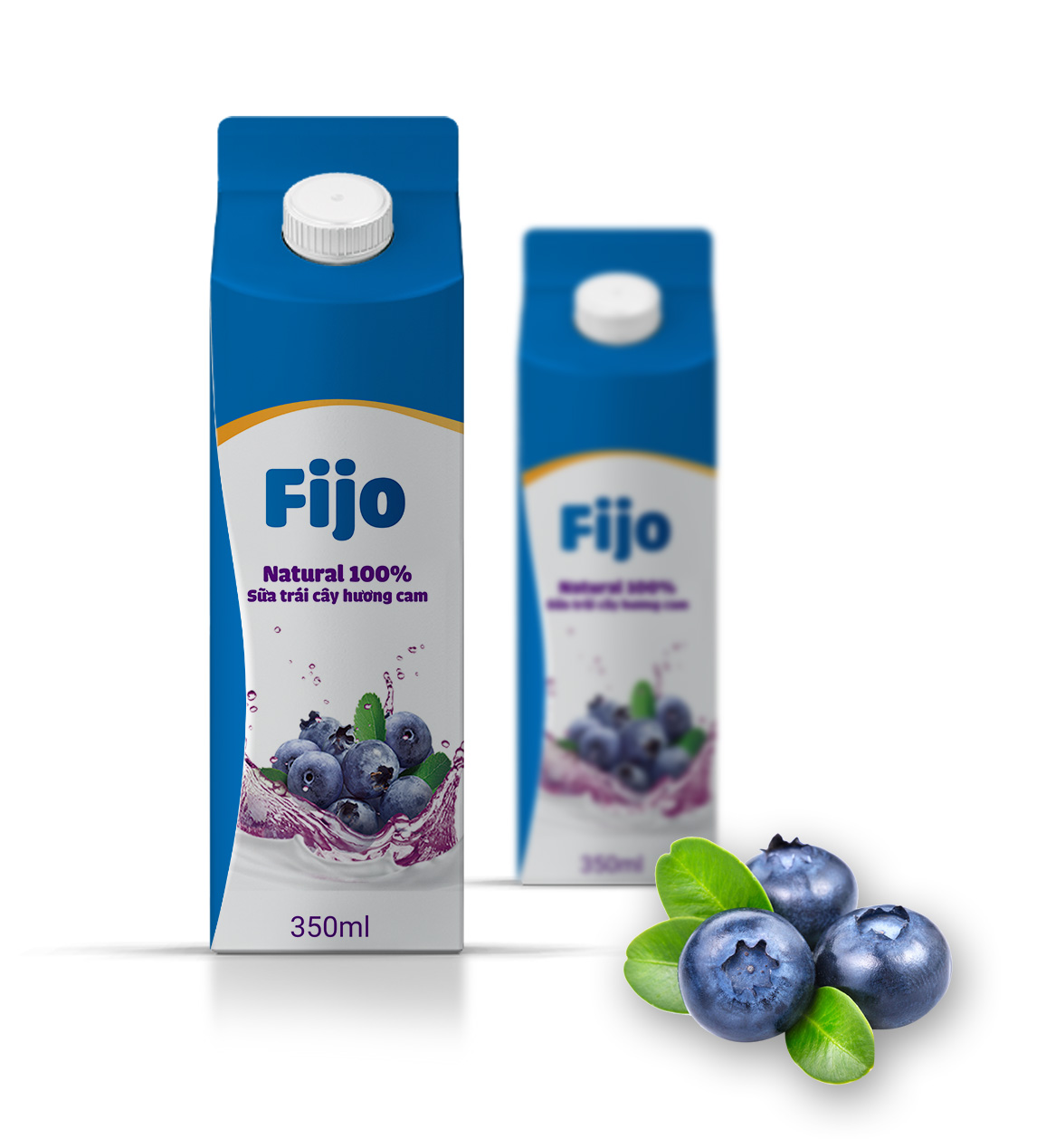 Fijo4