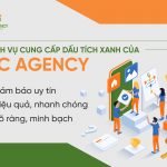 Dịch vụ cung cấp dấu tích xanh của BC Agency