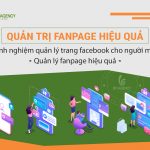 Quản trị fanpage cho người mới, quản lý fanpage hiệu quả