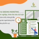 Dịch vụ Seeding Marketing chuyên nghiệp, khéo léo kéo dư luận