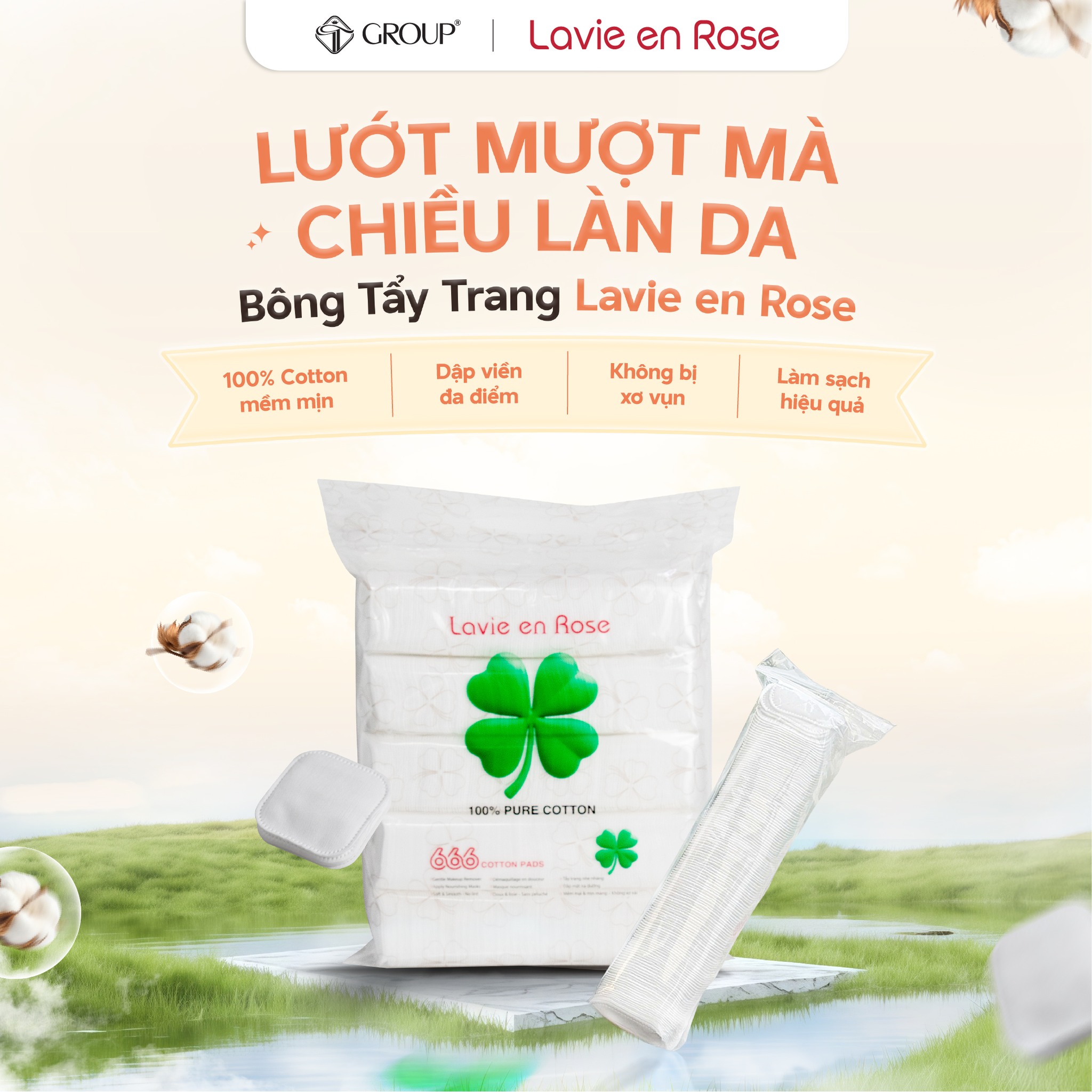 Case Study Bông Xịn