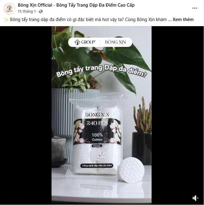 Case Study Bông Xịn