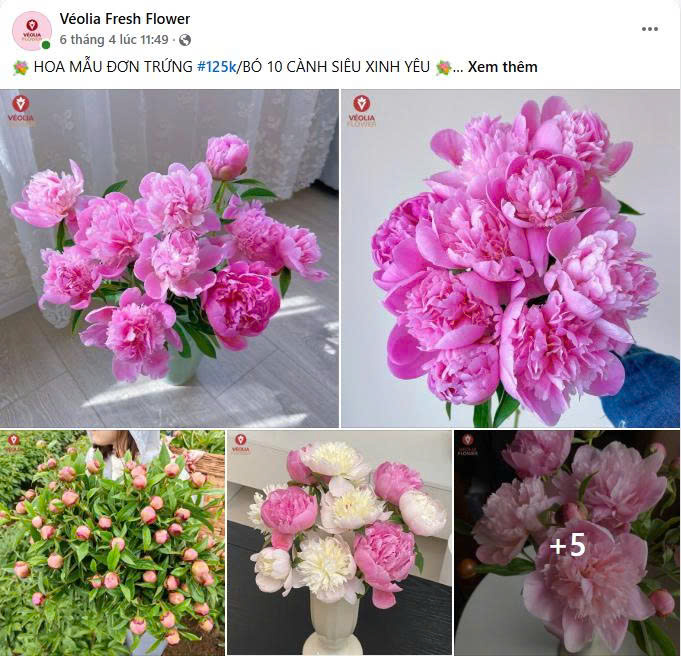 Case Study Véolia Flower