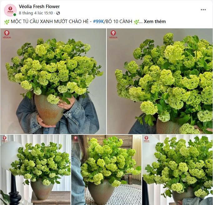 Case Study Véolia Flower