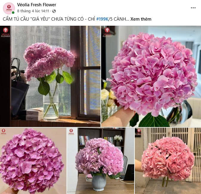 Case Study Véolia Flower